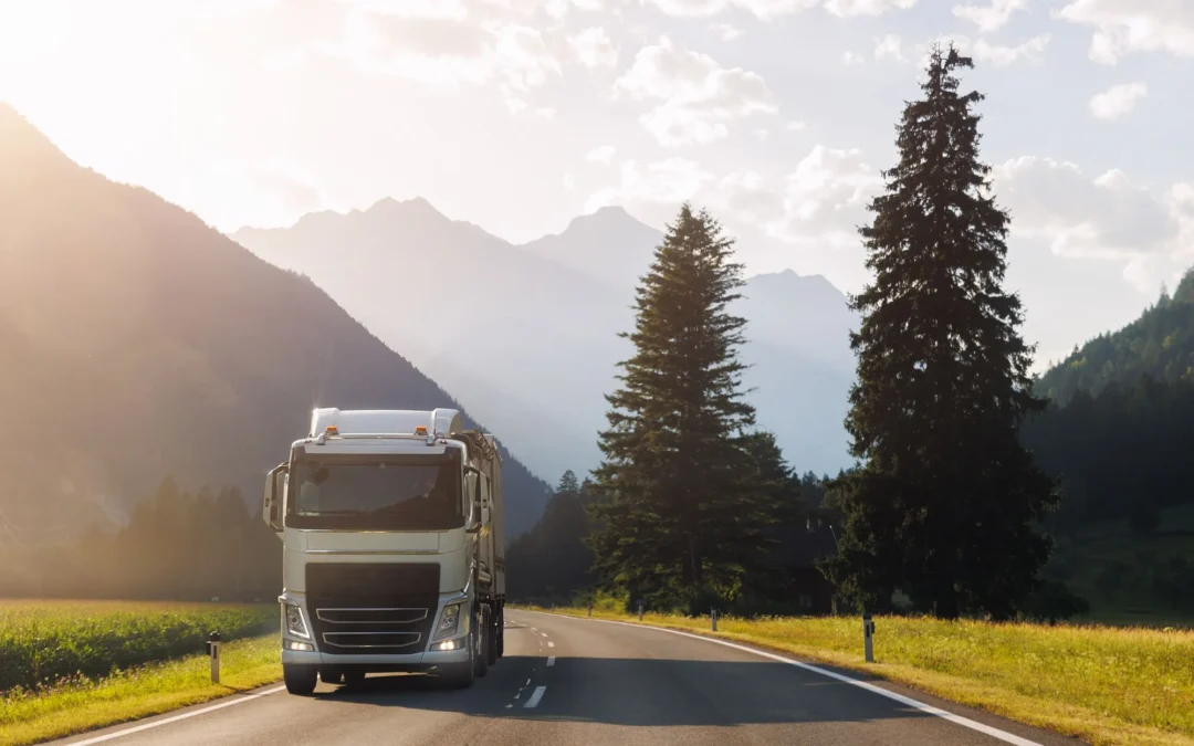 Sustainable Supply Chain Management